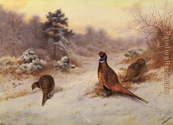 Winter's Sunset painting - Archibald Thorburn Winter's Sunset art painting